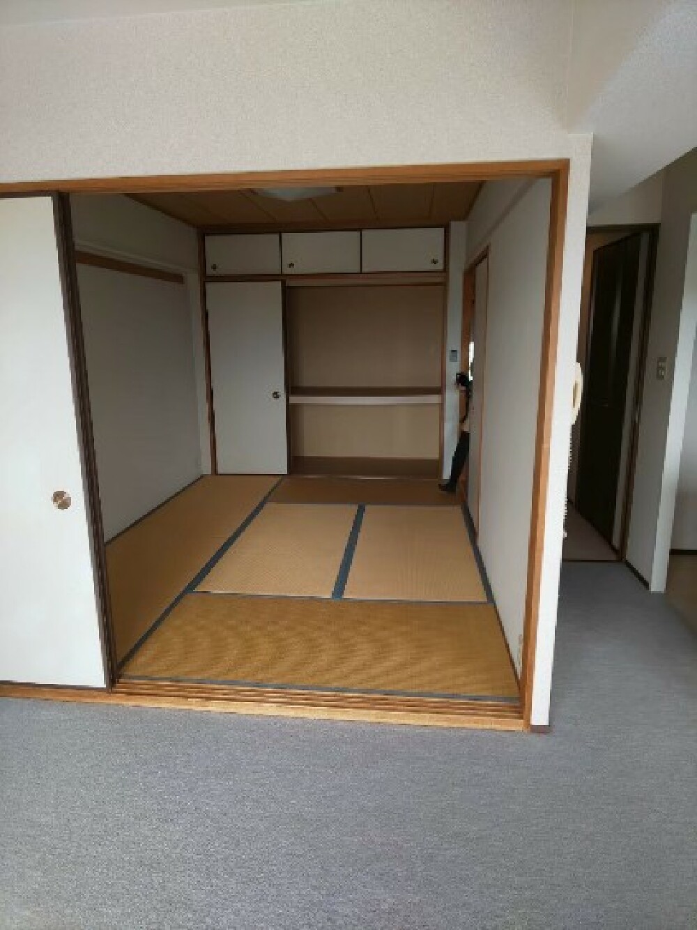 既存