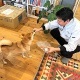 代表取締役　NAGAOKA