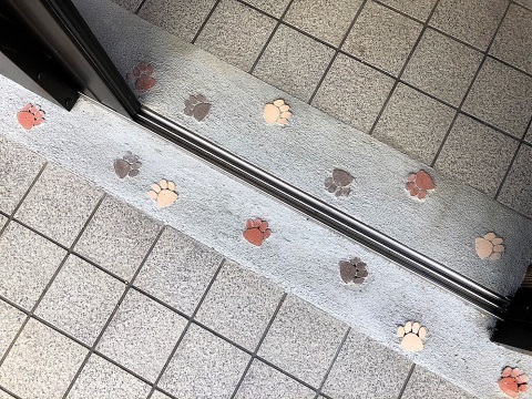 犬の保育園玄関