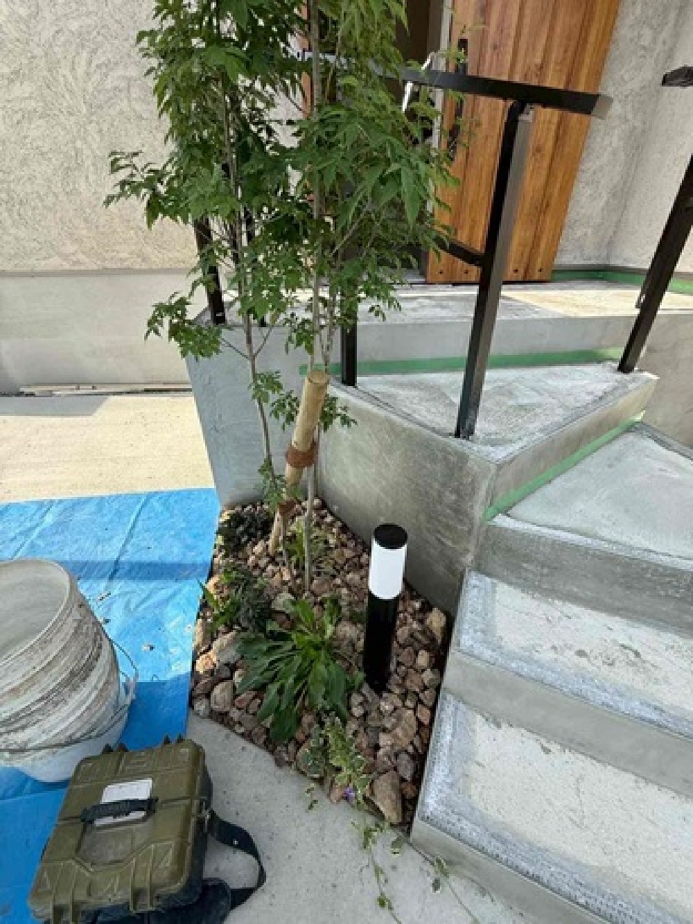 植栽