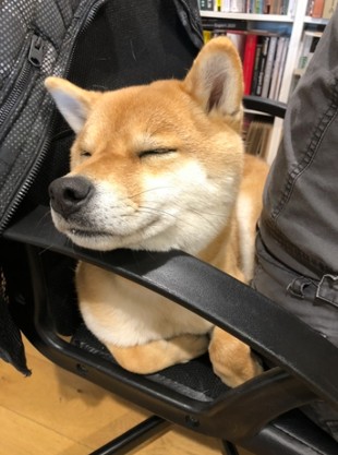 寝る