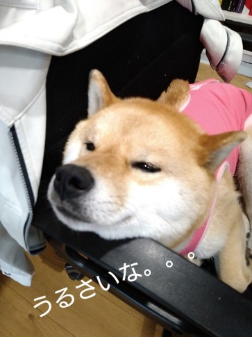 寝る