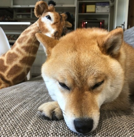 寝る