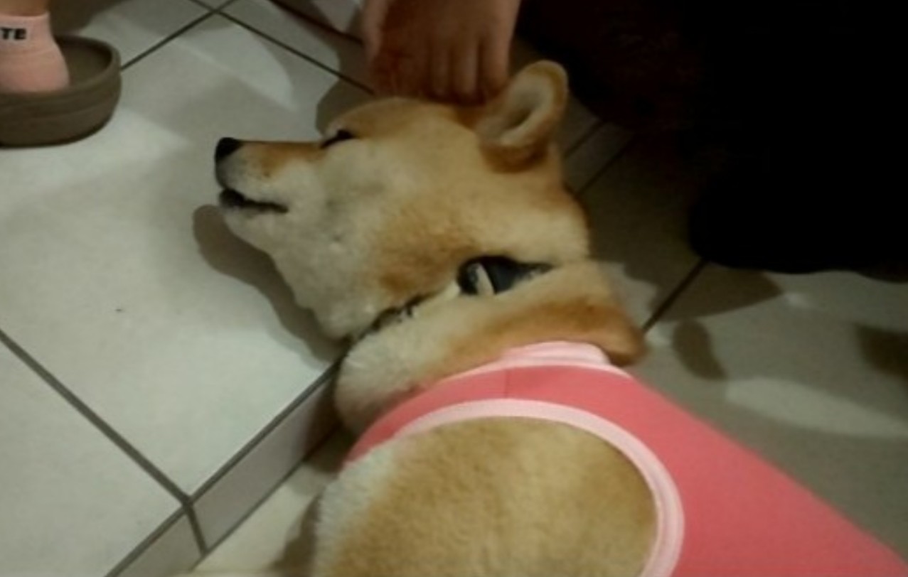 避妊