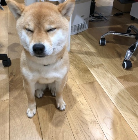 寝る