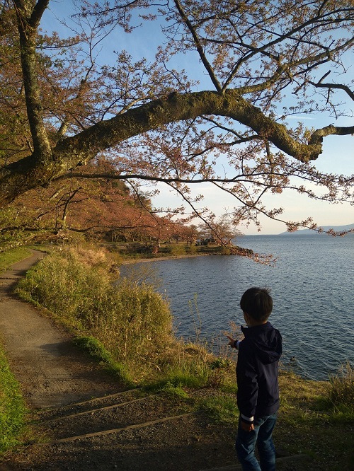 お散歩