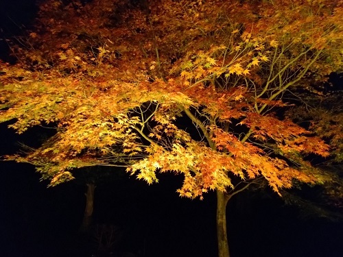 安祥寺