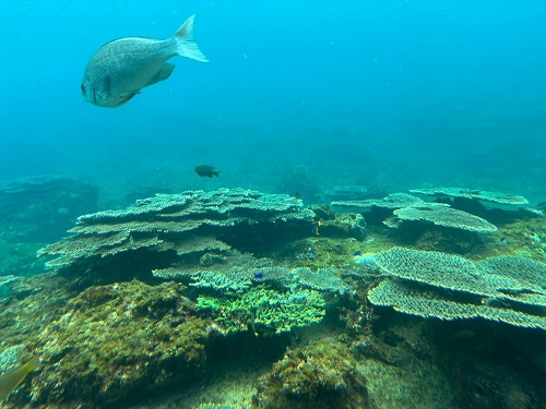 海中