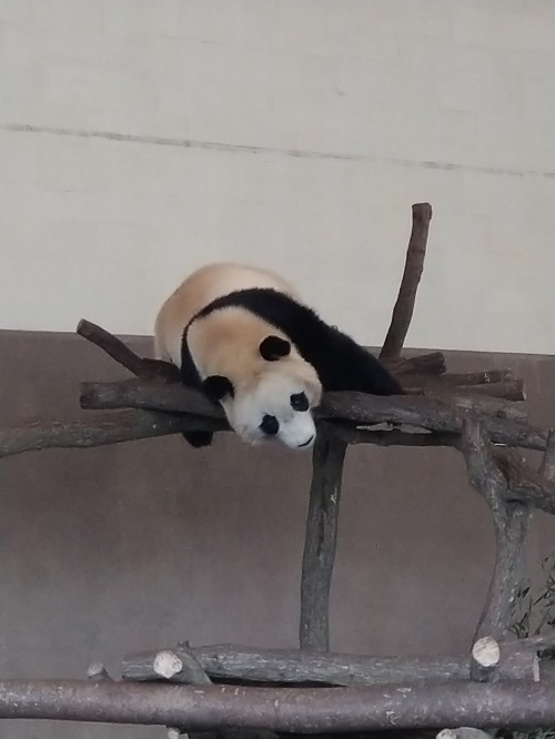 楓浜