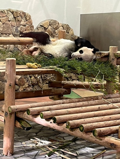 永明