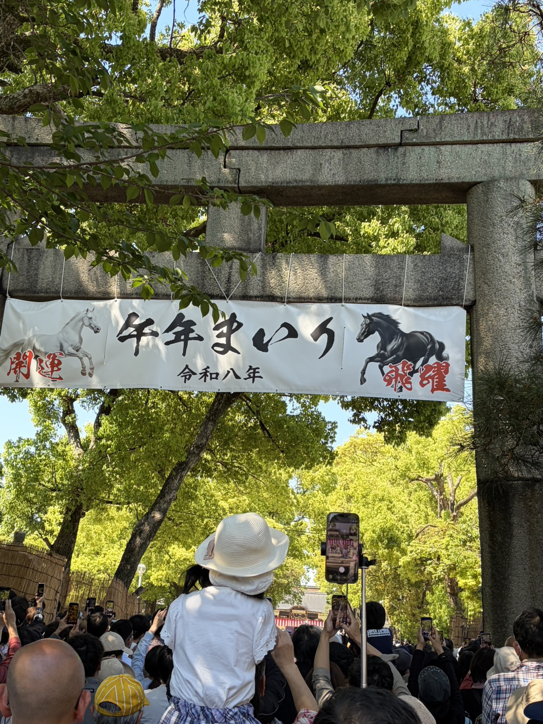 藤野森1