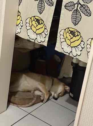 家の中
