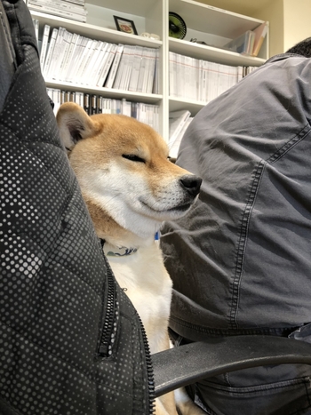 すず