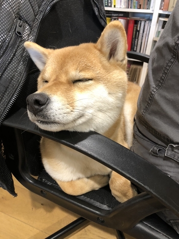すず