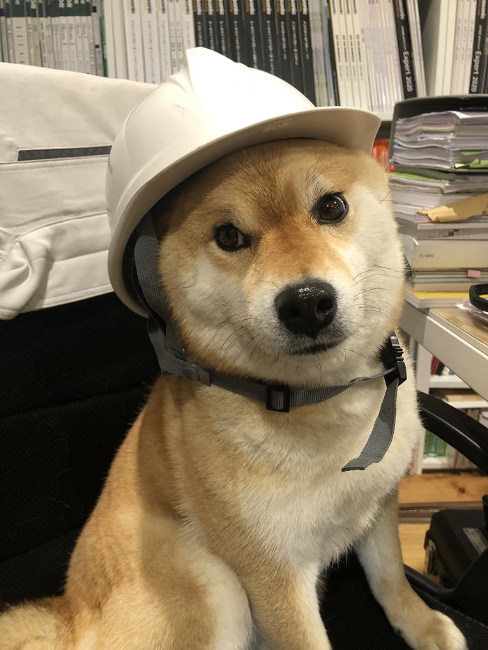 現場すず